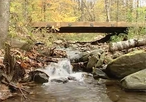 Picture looking up a stream to a skidder bridge.