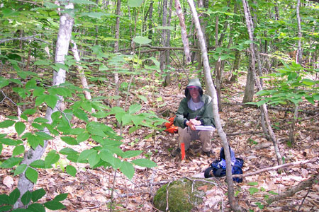 Photo: Ecologist working on a transect at Duck Lake Ecoreserve